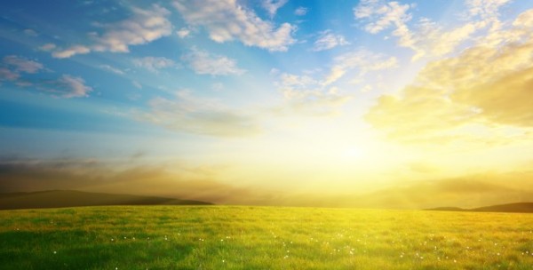 iStock_000009712604Small