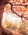 Summer Landscape