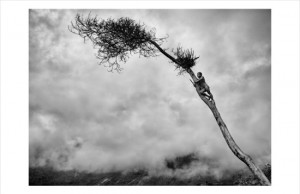 Sebastião Salgado- Genesis