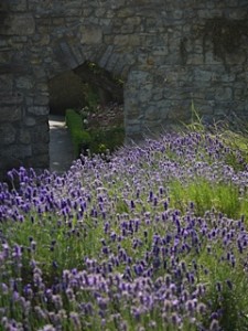 Abbey_House_Doorway