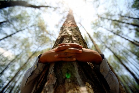 img_pod_boy-hugs-tree-trunk-Guinness-World-Record-Kathmandu